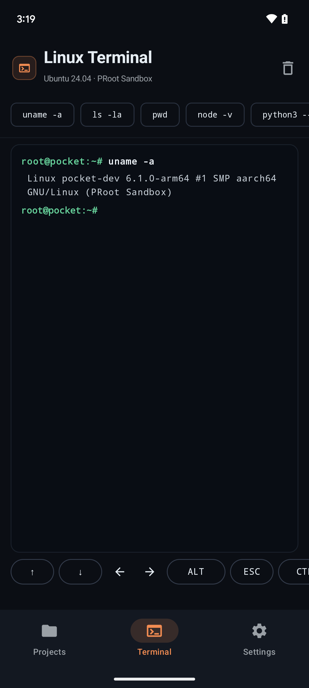Linux terminal executing real commands on device